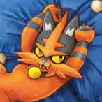 Torracat